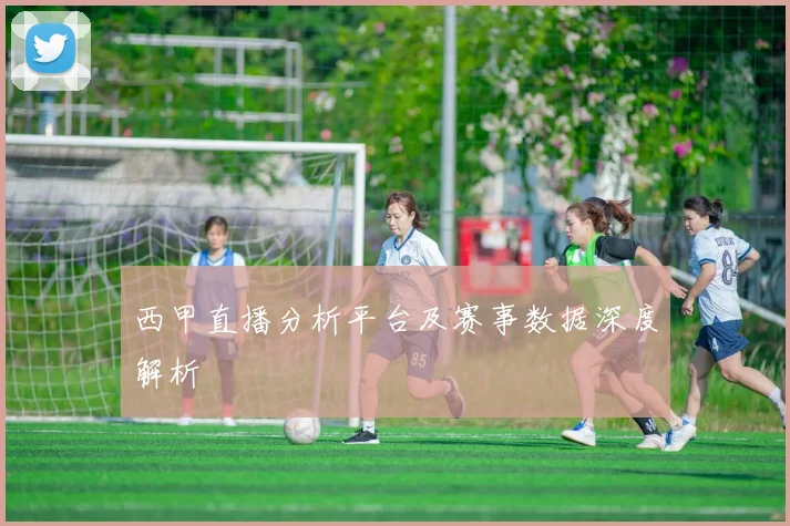 西甲直播分析平台及赛事数据深度解析