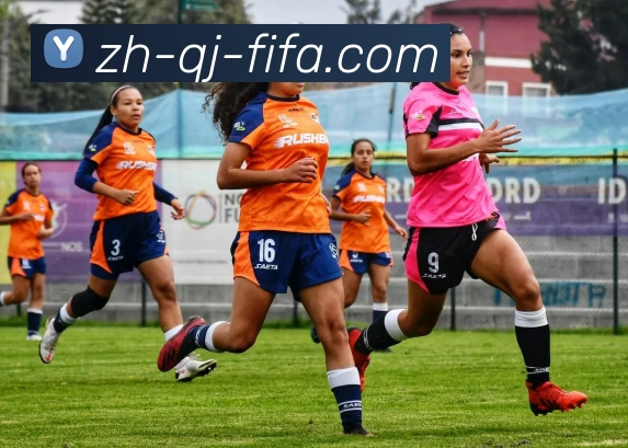 世界杯赛程服务体系