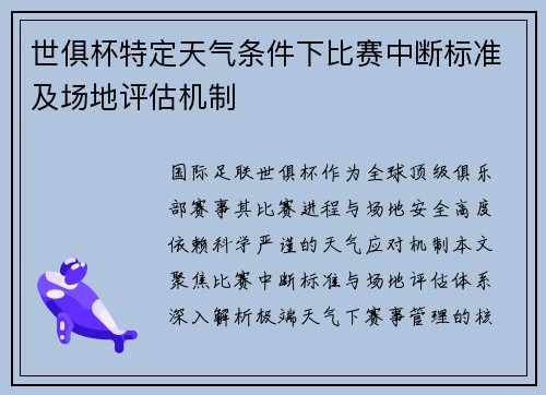 世俱杯特定天气条件下比赛中断标准及场地评估机制